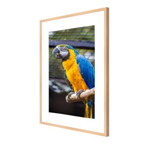 Ramme -  Passepartout - Victoria Wood Rustic - Mrk Eg - 12x18 mm - 30x30 Cm/20x20 Cm.