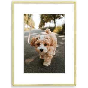 Ramme Aluminium - Aster Guld - 30x40 Cm/20x30 Cm.