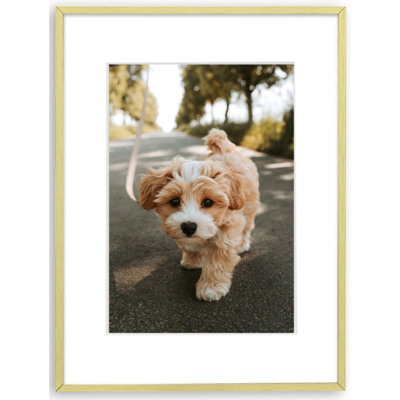 Ramme Aluminium - Aster Guld - 40x50 Cm/30x40 Cm.