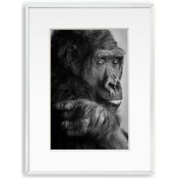 Ramme Aluminium - Aster Slv - 15x20 Cm/10x15 Cm.