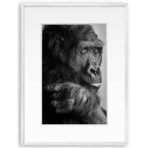 Ramme Aluminium - Aster Slv - 40x50 Cm/30x40 Cm.