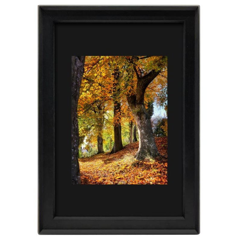 Darcey - Sort - Passepartout - 20x30 Cm / 15x20 Cm