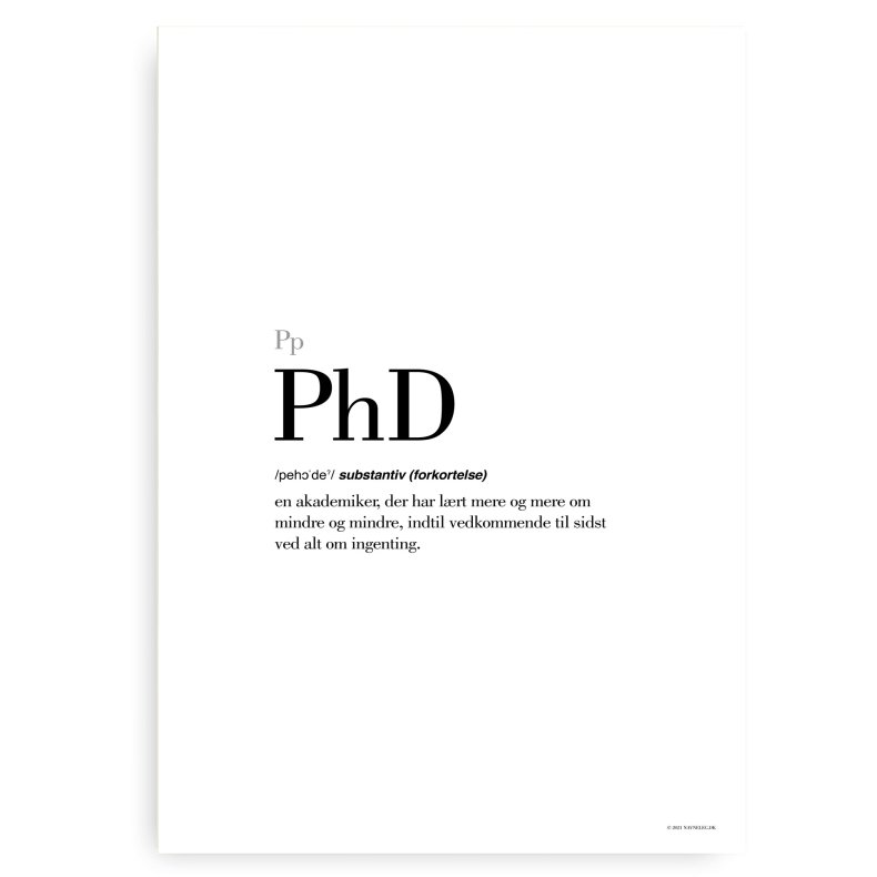 PhD Definitions Plakat - Dansk