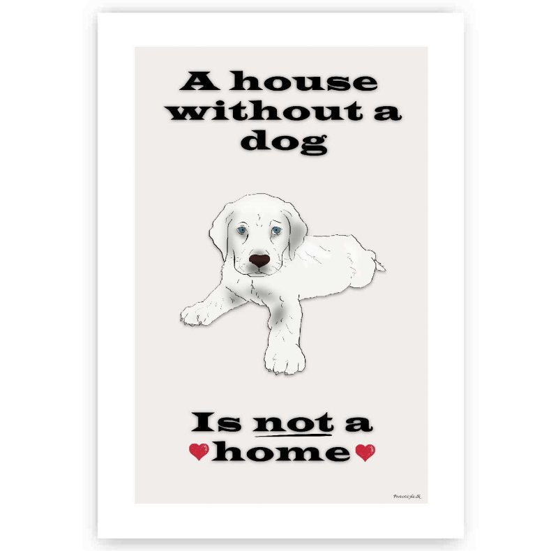 A House Without a dog - Plakat