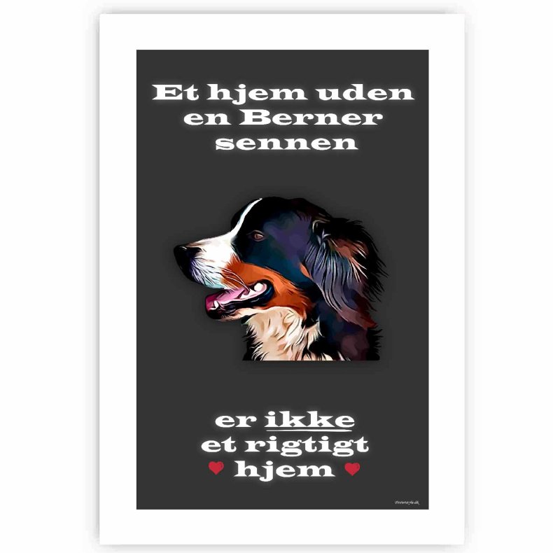 Et Hjem Uden Berner Sennen - Plakat