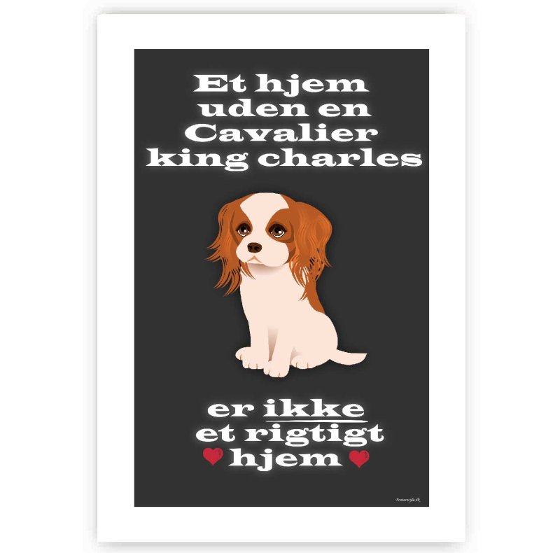 Et Hjem Uden Cavalier King Charles - Plakat