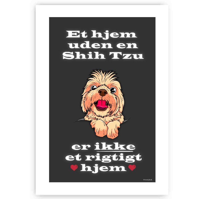 Et Hjem Uden Shih Tzu - Plakat