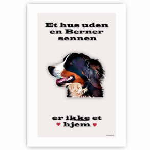 Et Hus Uden Berner Sennen - Plakat