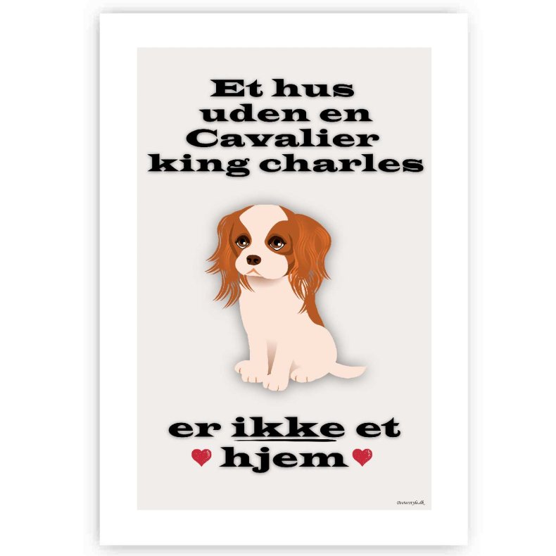 Et Hus Uden Cavalier King Charles - Plakat