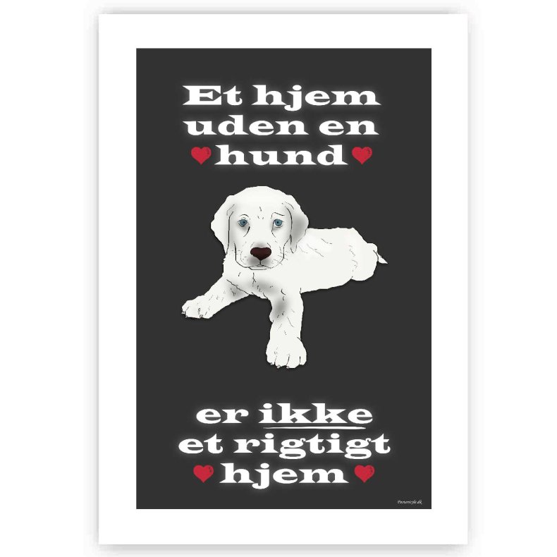 Et Hjem Uden Hund - Plakat