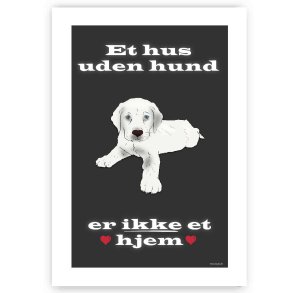 Et Hus Uden hund - Plakat