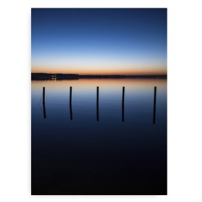 Bjrn By Night Fotokunst