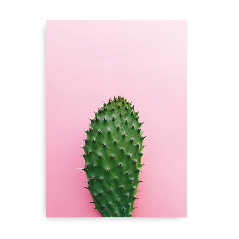 Kaktus blad - Pink