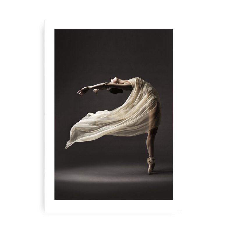 Fotokunst Plakat - Ballet