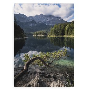 Water Branch Fotokunst