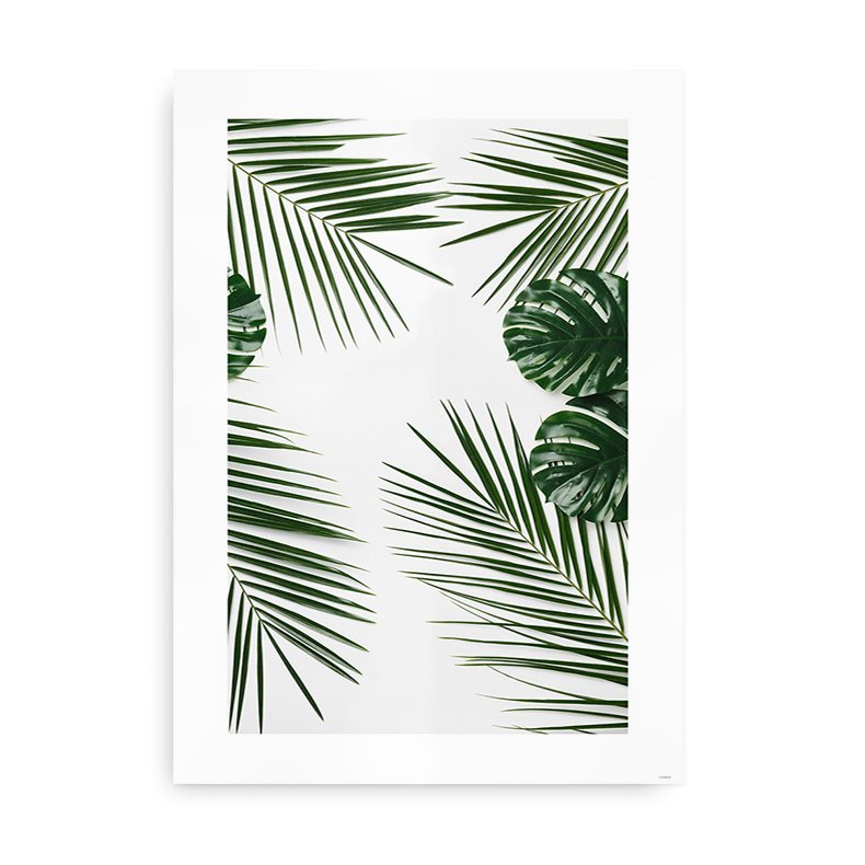 Botanisk Plakat - Monstera Og Palms