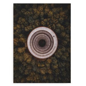 Forest Spirals Fotokunst