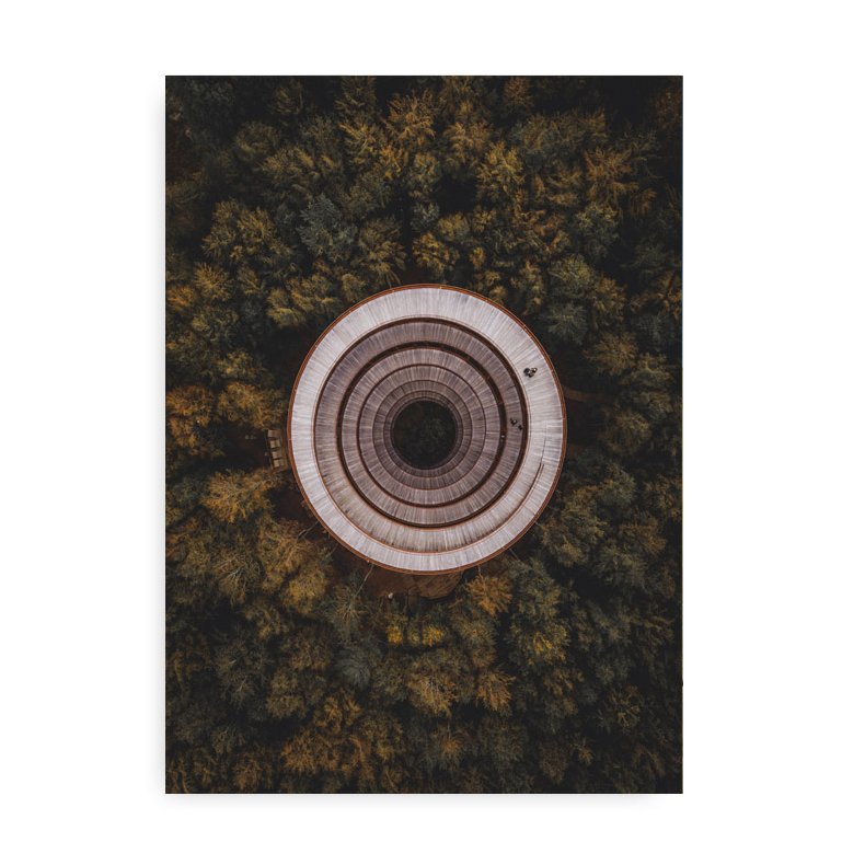 Forest Spirals Fotokunst