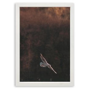 Ramme Grace - Hvid - 10x15 Cm.