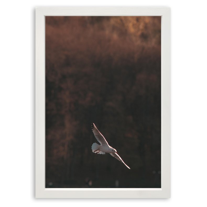 Ramme Grace - Hvid - 10x15 Cm.