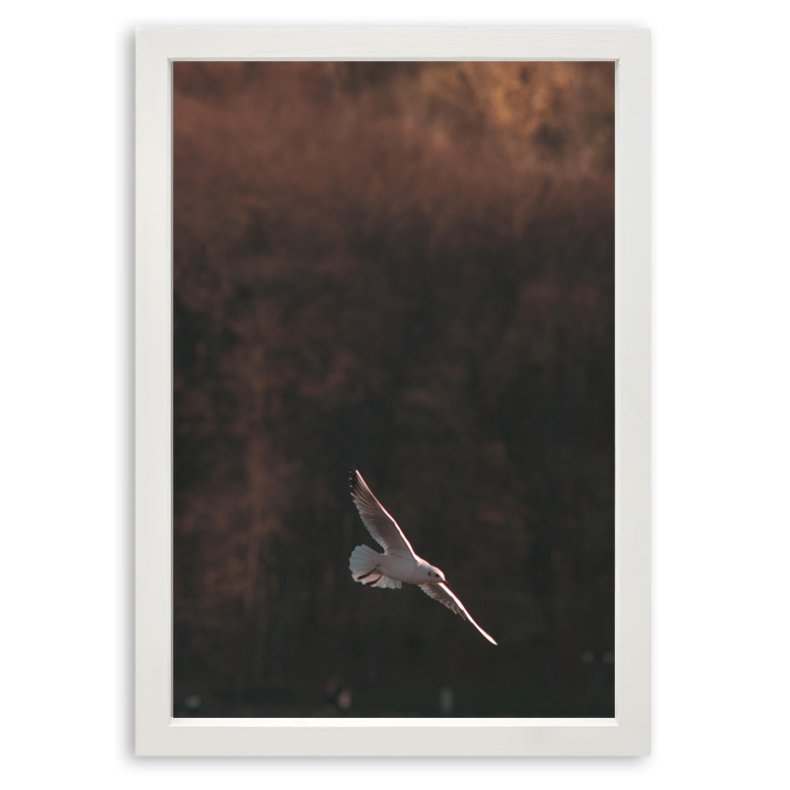 Ramme Grace - Hvid - 15x20 Cm.