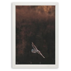 Ramme Grace - Hvid - 30x40 Cm.