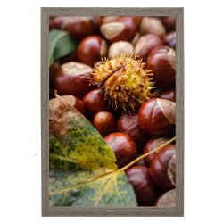 Ramme Grace - Valn�d - 24x30 Cm.