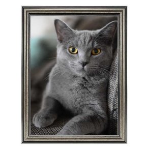 Ramme Holly - Slv - 10x15 Cm.