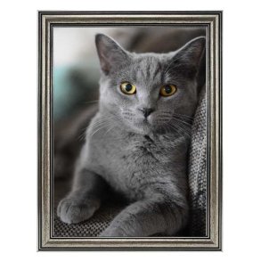 Ramme Holly - Slv - 20x30 Cm.