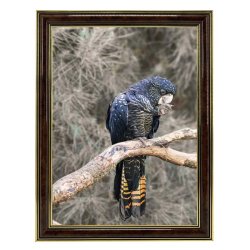 Ramme Holly - Brun - 10x15 Cm.