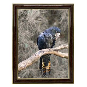 Ramme Holly - Brun - 10x15 Cm.