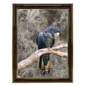 Ramme Holly - Brun - 13x18 Cm.