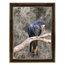 Ramme Holly - Brun - 15x20 Cm.