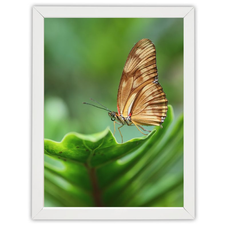 Ramme Ivy - Hvid - 24x30 Cm.