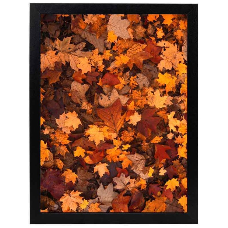 Ramme Ivy - Sort - 20x25 Cm.