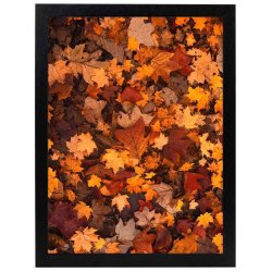 Ramme Ivy - Sort - 20x30 Cm.