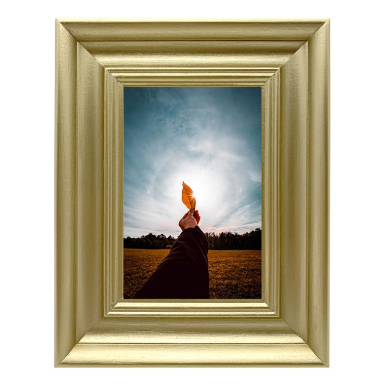 Ramme Lotus - Guld - 15x20 Cm.