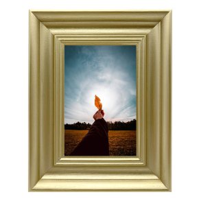 Ramme Lotus - Guld - 18x24 Cm.