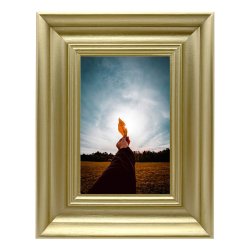 Ramme Lotus - Guld - 20x30 Cm.