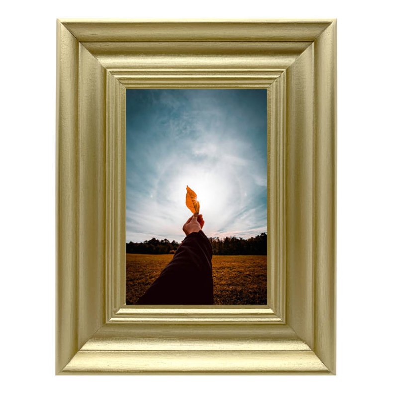 Ramme Lotus - Guld - 20x30 Cm.