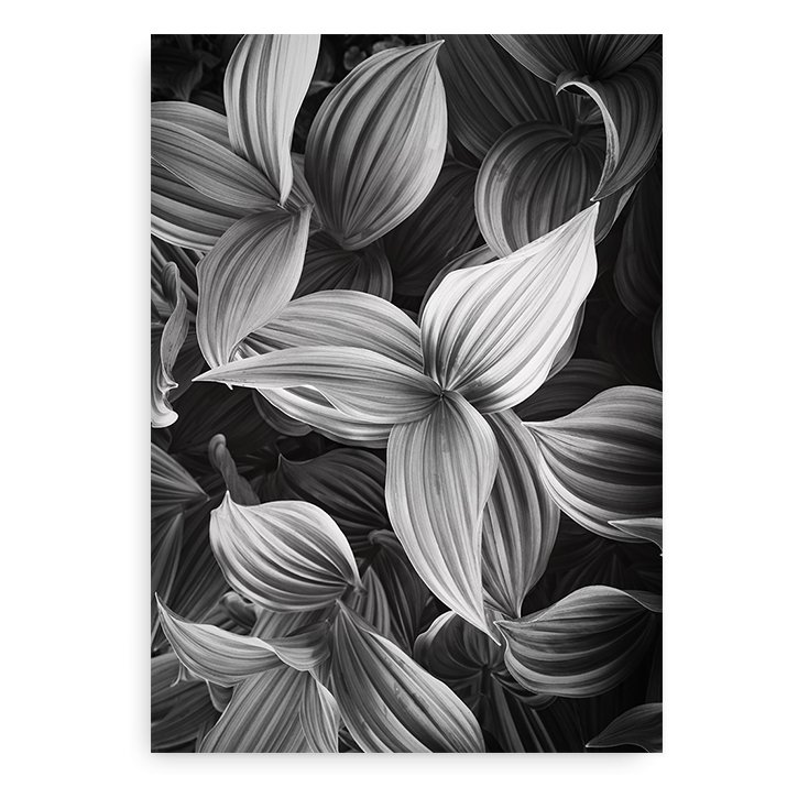 Indret hjemmet med natur plakater - Stort udvalg af plakater