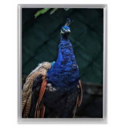 Ramme Alu Mat S�lv 10x10 Cm.