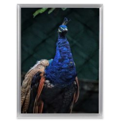 Ramme Alu Mat S�lv 24x30 Cm.