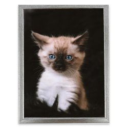 Ramme Aura Slv 18x24 Cm.