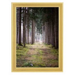 Ramme Reflexfrit Glas Guld 30x40 Cm