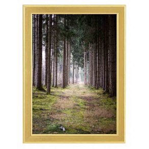 Ramme Reflexfrit Glas Guld 30x40 Cm