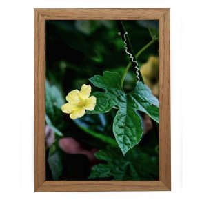 Ramme - Victoria Wood Rustic - Mrk Eg - 12x18 mm - 30x40 Cm.