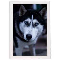 Ramme Twist - Hvid - 20x30 Cm.