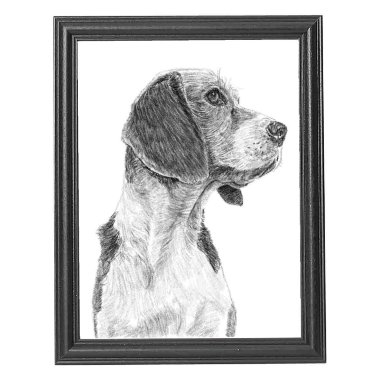 Rammer i 29,7X42 (A3)