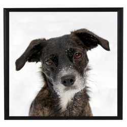 Ramme Alu Mat Sort 40x40 cm.